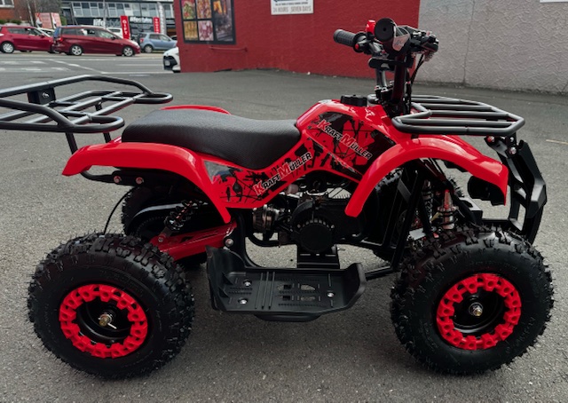 Kids Quad Bike 49cc Farm - Image 4