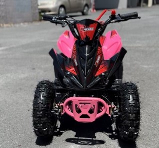 Mini Kids Quad Bike 49cc