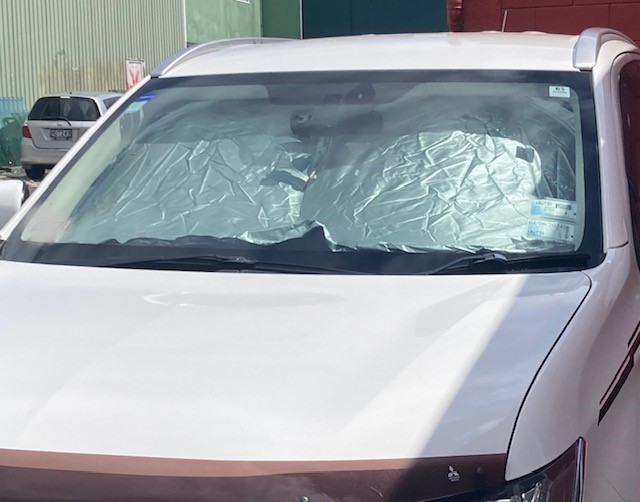 Pop up Sun Shade Large