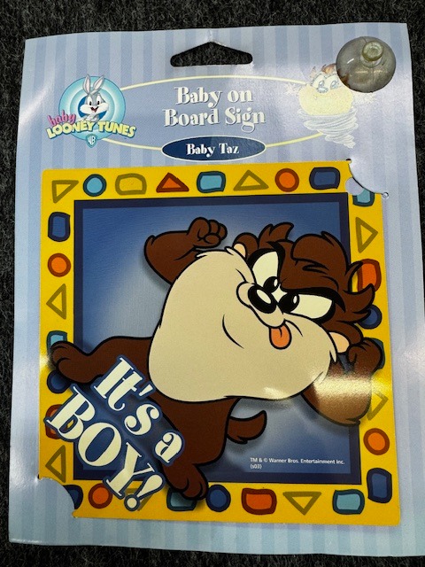 Baby on Board Sign Boy