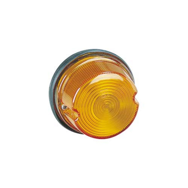 Rear Directional Indicator Lamp Amber 85830